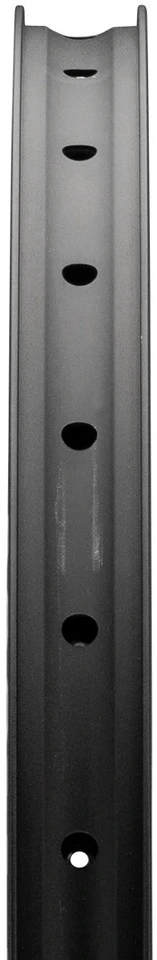 Dt-swiss Llanta FR 560 Disc 26" - Imagen 4