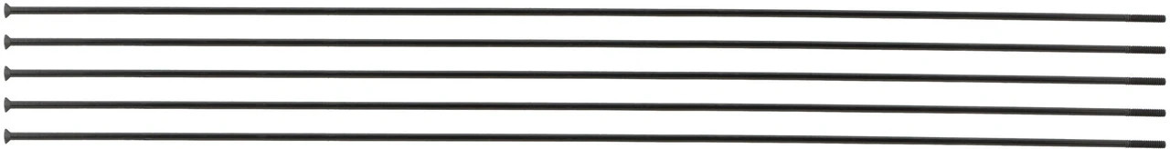 Dt-swiss Radios Champion® Straightpull 2.0 - 5 Unidades