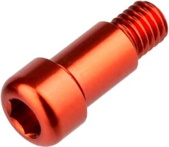 Dt-swiss Tornillo De Bloqueo Para RWS Cierre Rápido De Buje Road/MTB