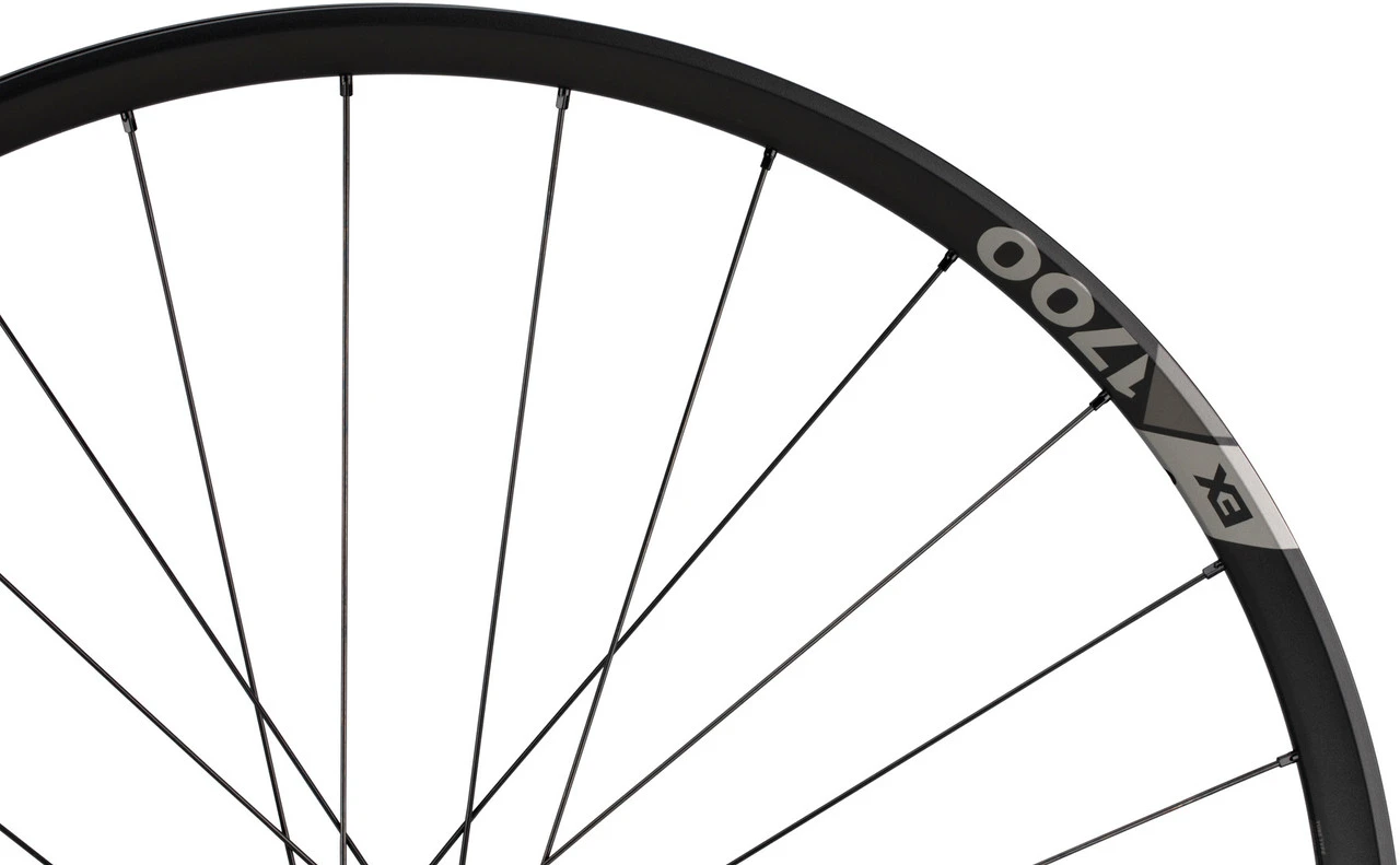 Dt-swiss Juego De Ruedas EX 1700 SPLINE 30 Boost Disc 6 Agujeros 29" - Imagen 6